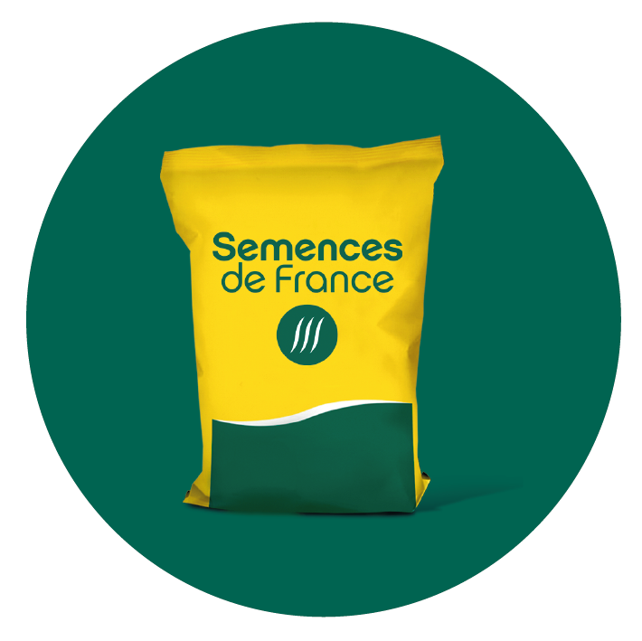 Plateforme Transport